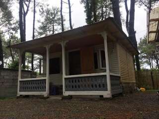 Шале частный коттедж Шекветили Шале с одной спальней-5