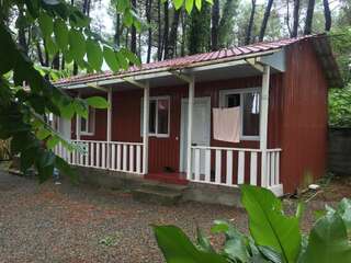 Шале частный коттедж Шекветили Шале с одной спальней-7