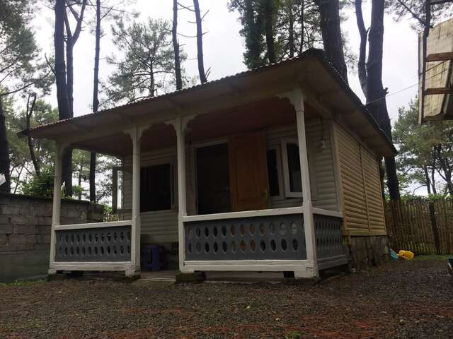 Шале частный коттедж Шекветили-3