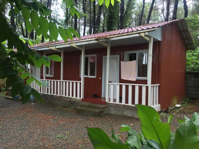 Шале частный коттедж Шекветили-5