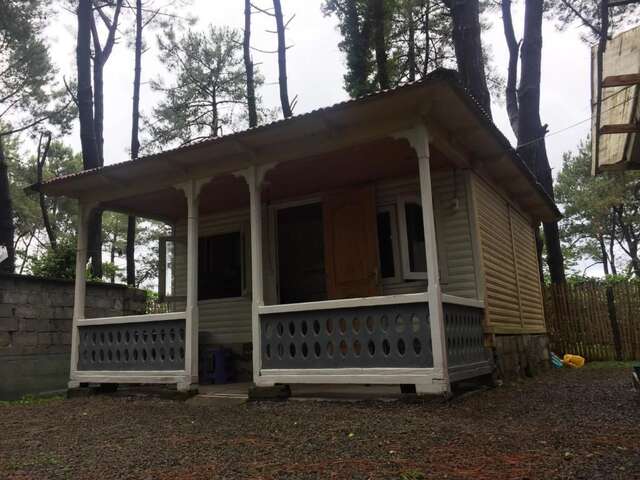 Шале частный коттедж Шекветили-7