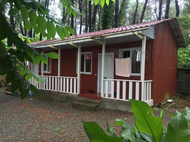 Шале частный коттедж Шекветили-9