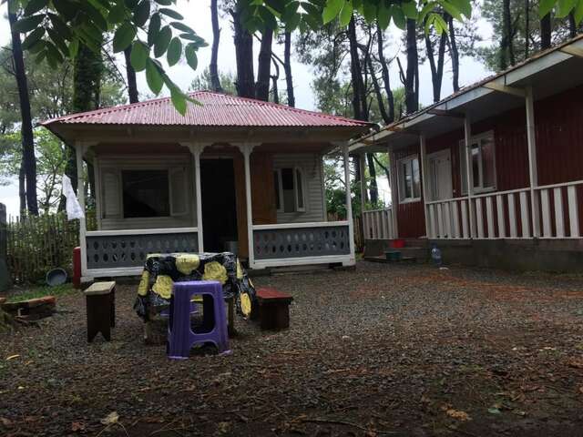 Шале частный коттедж Шекветили-10